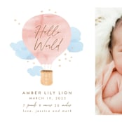 "Baby World" - Birth Announcements in Blush by Kanika Mathur - Detail