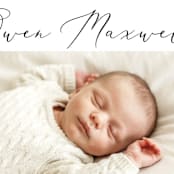 "Up Top" - Birth Announcements in Ink by Carolyn MacLaren - Detail