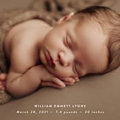 "Skyline" - Birth Announcements in Pearl by Sara Hicks Malone - Detail