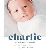 "Bold Nickname" - Birth Announcements in Bluebird by Shirley Lin Schneider - Detail