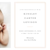 "Name Plate" - Birth Announcements in Melon by Stacey Meacham - Detail