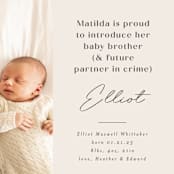 "Siblings" - Birth Announcements in Bamboo by Corinne Malesic - Detail