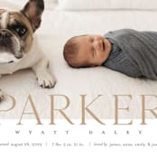 "modern classic" - Birth Announcements in Toffee by Eric Clegg - Detail