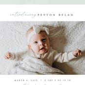 "Story" - Birth Announcements in Sea Salt by Pixel and Hank - Detail