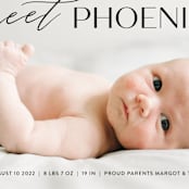 "Sweet Introduction" - Birth Announcements in Ink by Chryssi Tsoupanarias - Detail