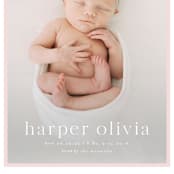 "Portraiture" - Birth Announcements in Rose by Alexandra Cohn - Detail
