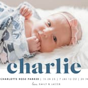 "Bold Nickname" - Birth Announcements in Bluebird by Shirley Lin Schneider - Detail