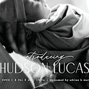 "Little Introduction" - Birth Announcements in Sugar by Pixel and Hank - Detail