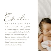 "Our Story" - Birth Announcements in Chocolate by Jessica Williams - Detail