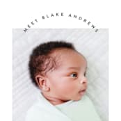 "Arc Name" - Birth Announcements in Penguin by Carolyn MacLaren - Detail
