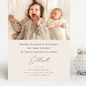 "Siblings" - Birth Announcements in Bamboo by Corinne Malesic - Front