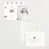 "Disney The Little Lion King" - Birth Announcements in Desert by Maja Cunningham - Assembled
