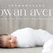 "Exemplary" - Birth Announcements in Cotton by Olivia Raufman - Detail