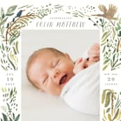 "Jungle Friends" - Birth Announcements in Jungle by Morgan Ramberg - Detail