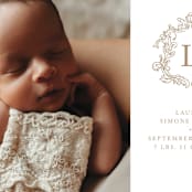 "Crested" - Birth Announcements in Fawn by mo kelley - Detail