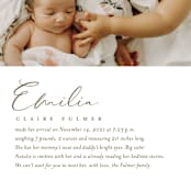"Our Story" - Birth Announcements in Chocolate by Jessica Williams - Detail