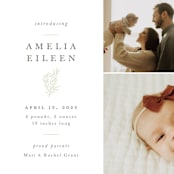 "Tiny Sprig" - Birth Announcements in Sage by Sarah Brown - Detail