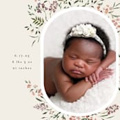 "Wildflower" - Birth Announcements in Eggshell by Itsy Belle Studio - Detail