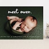 "Meet Cute" - Birth Announcements in Snow by Lauren Chism - Front