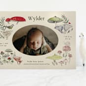 "Woodland wonder" - Birth Announcements in Lichen by Bonnie Davis - Front