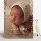 "Botanica Frame" - Birth Announcements in Vanilla by Laura Hankins - Front