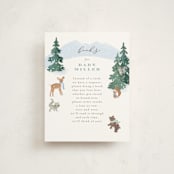 "Winter Wonderland" - Baby Shower Insert Cards in Sky by Jennifer Wick - Front