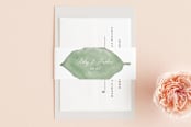 "Painted Leaf" - Belly Bands in Leaf by Katharine Watson - Assembled with Invitation