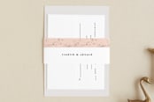 "New York" - Belly Bands in Blush by Nazia Hyder - Assembled with Invitation