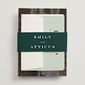 "Picture Perfect" - Belly Bands in Diamond by Amy Payne - Assembled with Invitation