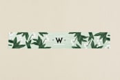 "Botanical Name Plate" - Belly Bands in Sage by Shiny Penny Studio - Front