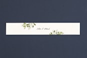 "Ribbonly" - Belly Bands in Blush by Jennifer Wick - Assembled with Invitation