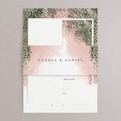 "veil sweet" - Belly Bands in Blush by Cass Imagines - Assembled with Invitation