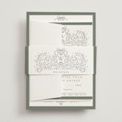 "Ornate sketched frame" - Belly Bands in Forest by Jackie Crawford - Assembled with Invitation