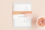 "Watercolor Wisp" - Belly Bands in Blush by Ariel Rutland - Assembled with Invitation