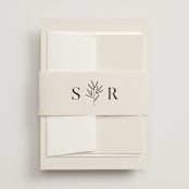"Italia" - Belly Bands in Taupe by Kelly Schmidt - Assembled with Invitation