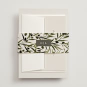 "Tuscan Hill" - Belly Bands in Creme by Kate Ahn - Assembled with Invitation