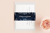 "Frosty chic" - Belly Bands in Peacock by Creo Study - Assembled with Invitation