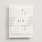 "Sophistotype" - Belly Bands in Sea Salt by Snow and Ivy - Assembled with Invitation