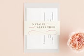 "Winter Flourish" - Belly Bands in Petal Pink by Annie Clark - Assembled with Invitation