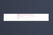 "Summer Bliss" - Belly Bands in Blush by Grace Kreinbrink - Front
