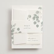 "Silver Dollar Eucalyptus" - Belly Bands in Silver Dollar by Shannon Chen of Four Wet Feet Studio - Assembled with Invitation