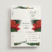 "Tropical Bouquet" - Belly Bands in Basil by Elly - Assembled with Invitation