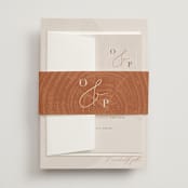 "a hundred years" - Belly Bands in Burnt Umber by Robin Ott - Assembled with Invitation