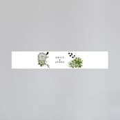 "Agave & Greens" - Belly Bands in Ivory by Susan Moyal - Front