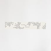 "FancySchmancy" - Belly Bands in Classic by Jen Owens - Front