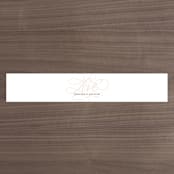 "AND" - Belly Bands in Sunkissed by Jill Means - Front