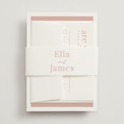"Party Accordingly" - Belly Bands in Blush by Hudson meet Rose - Assembled with Invitation