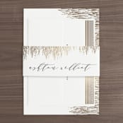 "Sparkle + Shine" - Belly Bands in Golden by Kristie Kern - Assembled with Invitation