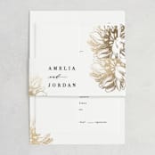 "Sophisticated" - Belly Bands in Pearl by Kelly Schmidt - Assembled with Invitation