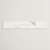 "Swoon" - Belly Bands in Cotton by Carolyn Nicks - Front